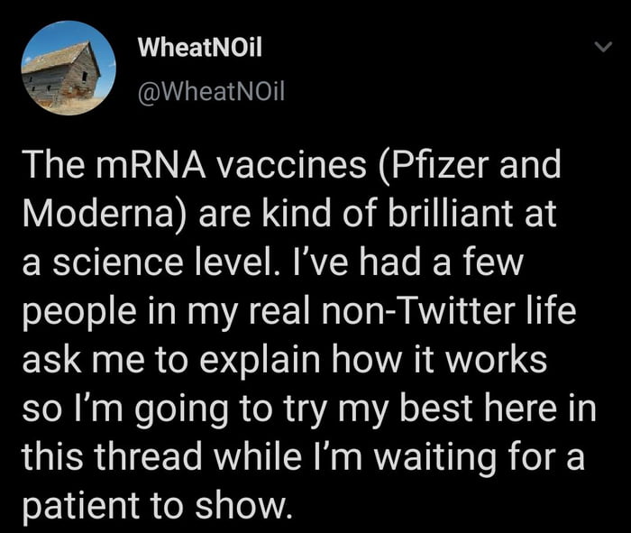 More detail on how Covid Vaccine works