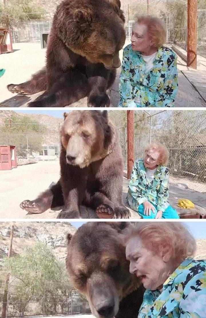 One of the most dangerous creatures on the planet and a bear.