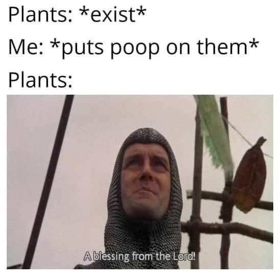 Dump #9? Maybe? I keep forgetting to check.