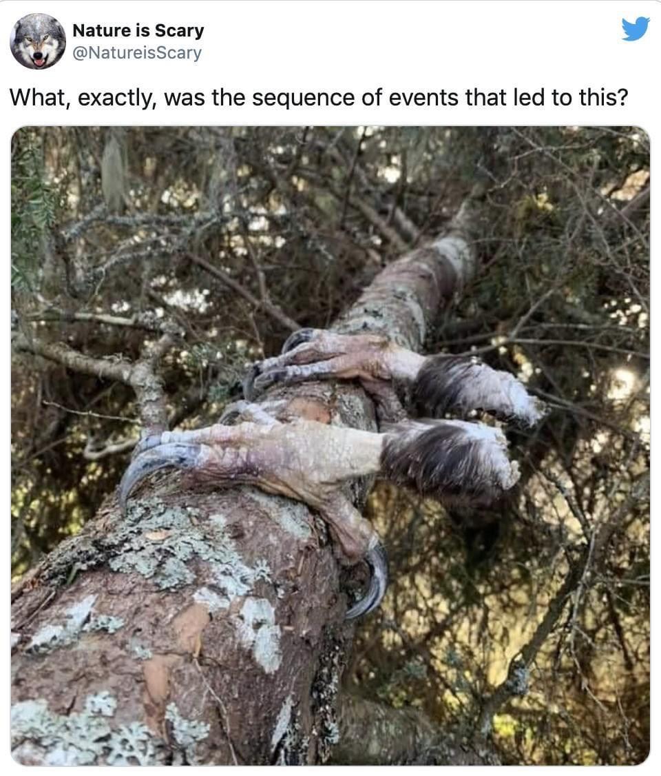 Nature Be Scary Like That