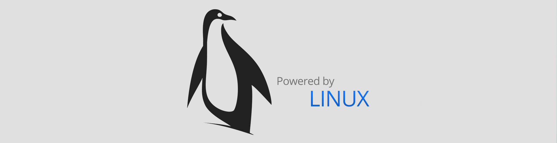 linux_banner