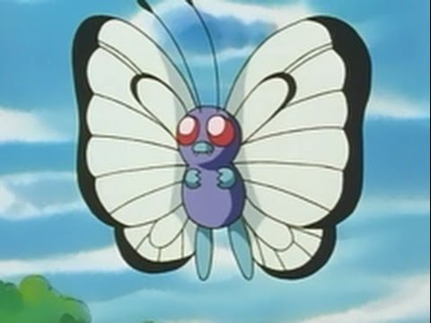 butterfree
