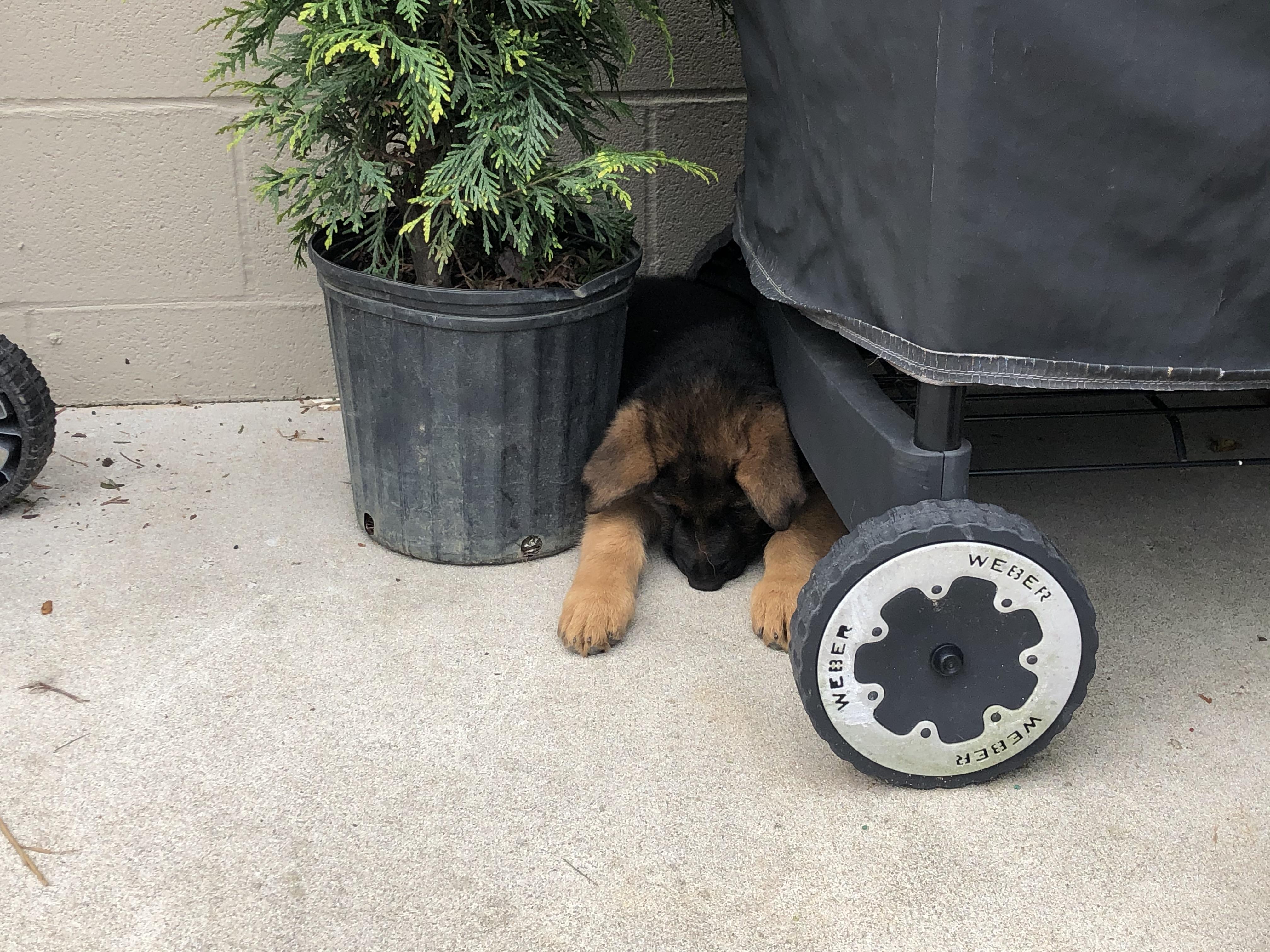 I told him he was adopted. He didn&rsquo;t take the news well.