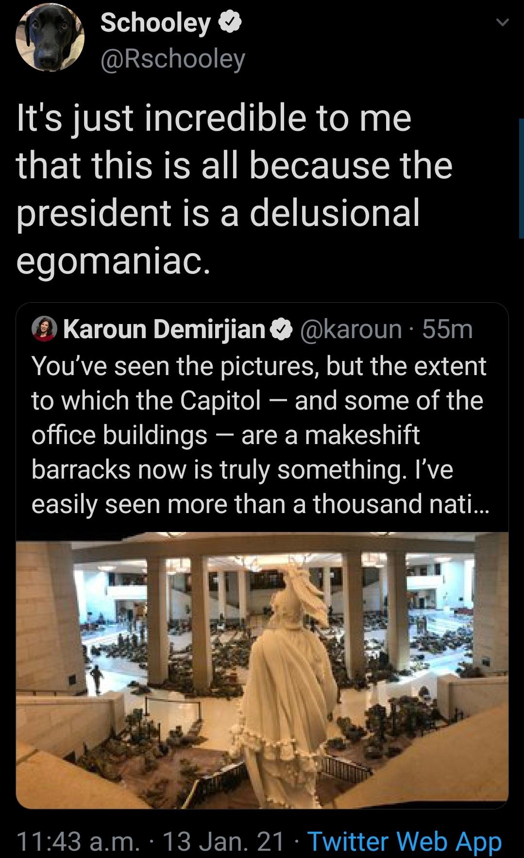 National guard troops in DC to protect capital and inauguration from Trump's goons