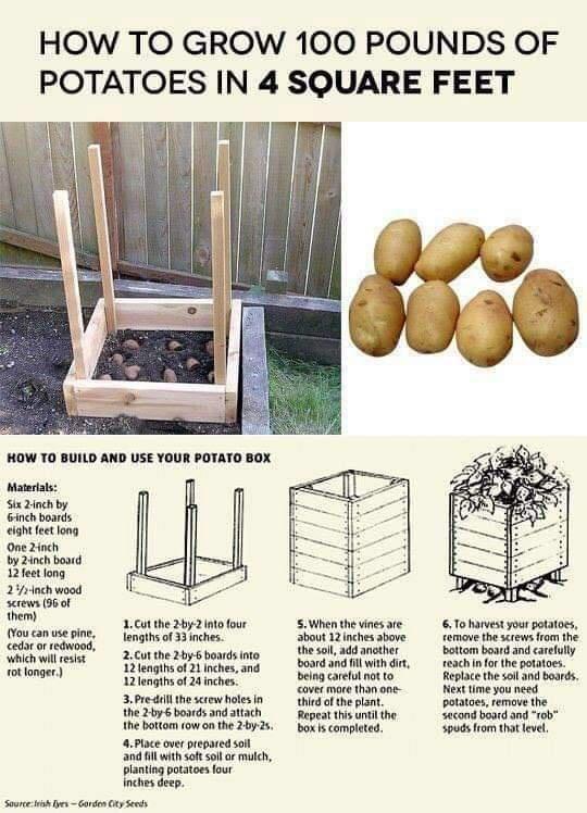 Things you might find interesting