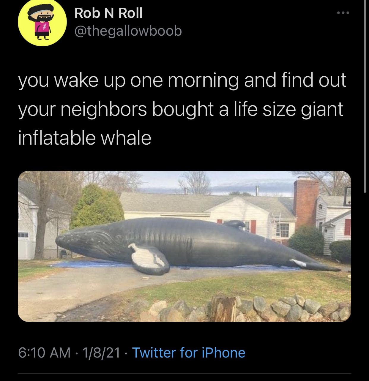 Funny Random Meme and Twitter Dump