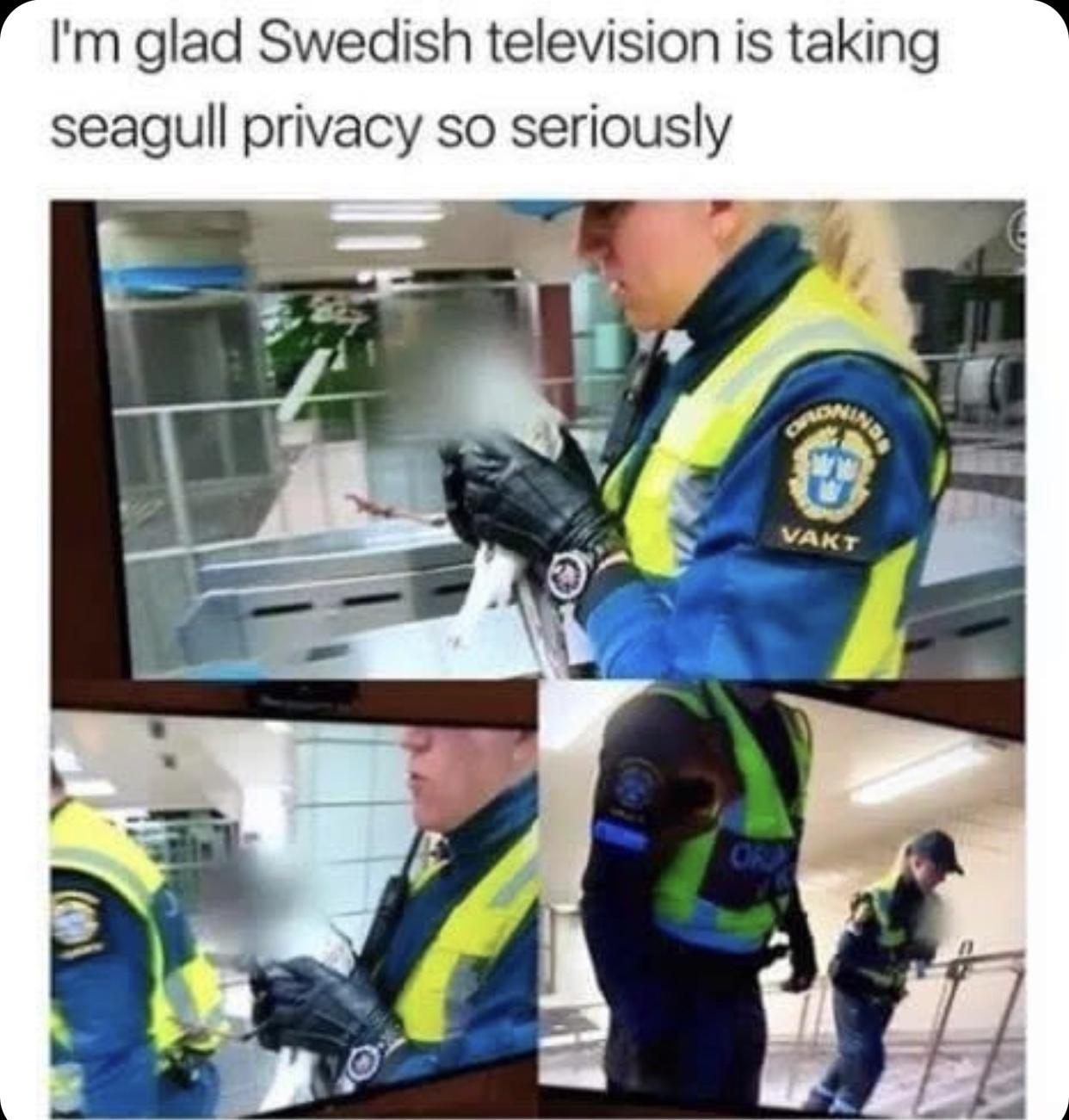 Animals Need Digital Privacy Too