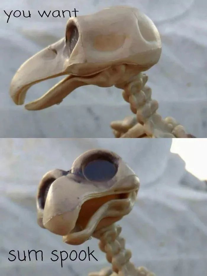 *1st of Spooktober* The Intensification Of The Spook