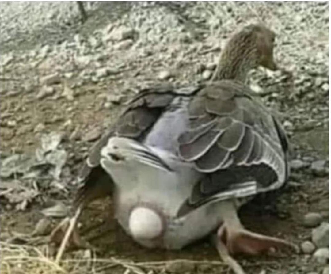 After the morning coffee and cigarette