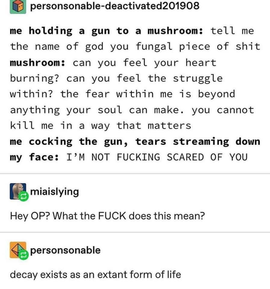 Well he seems like a Fungi