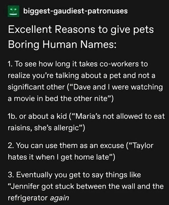 Boring human names