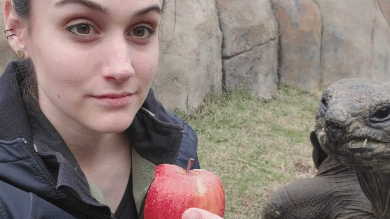 I'm a wild animal tech, meet one of my oldest colleagues