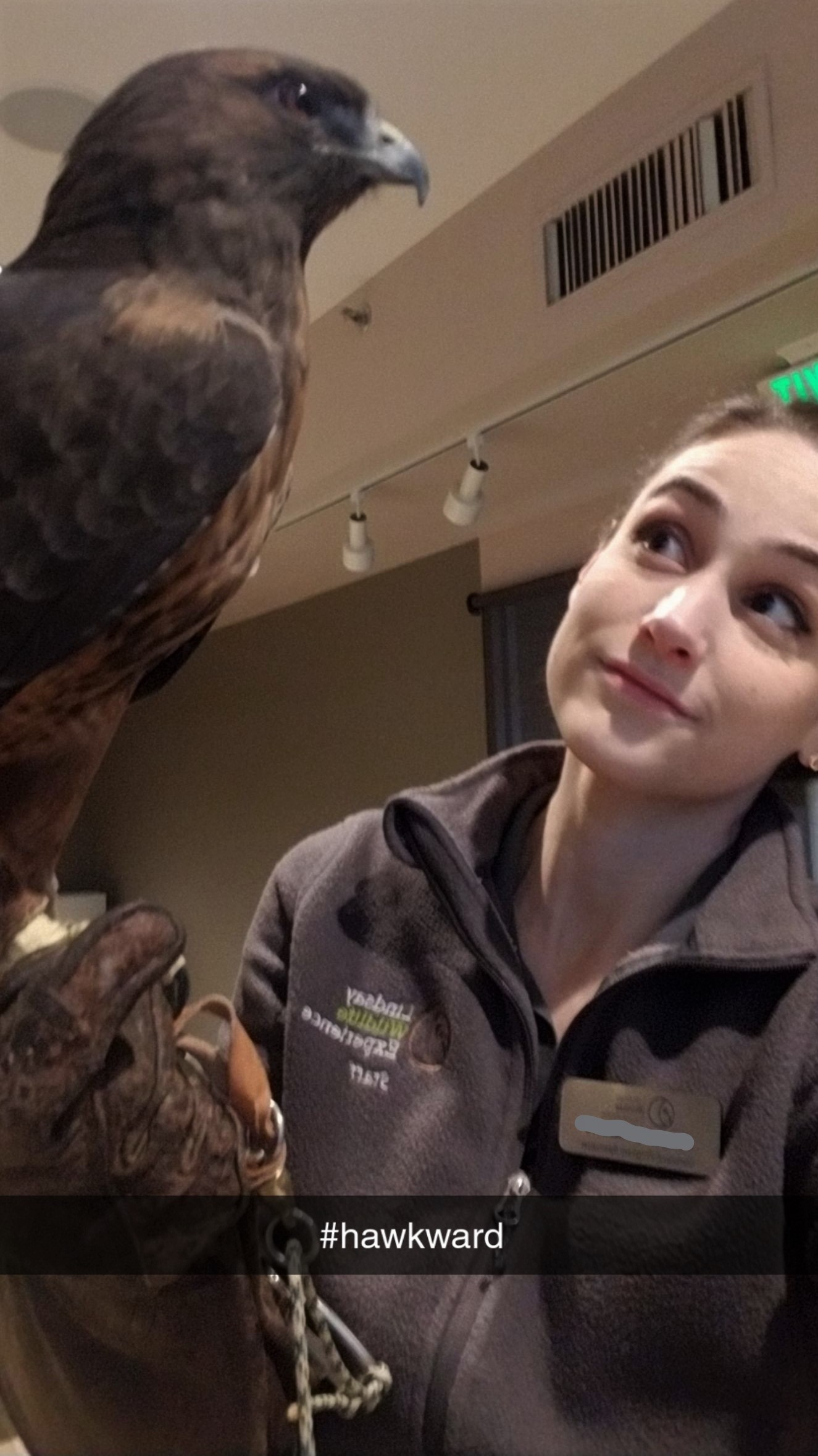 I'm a wild animal tech, no stranger to hawkward moments.
