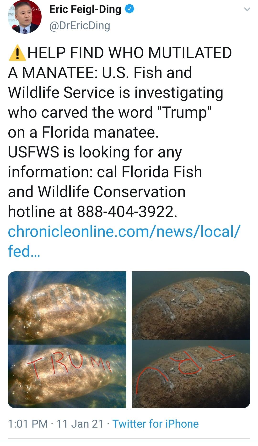 Share to help find these monsters. TW: Abused animal