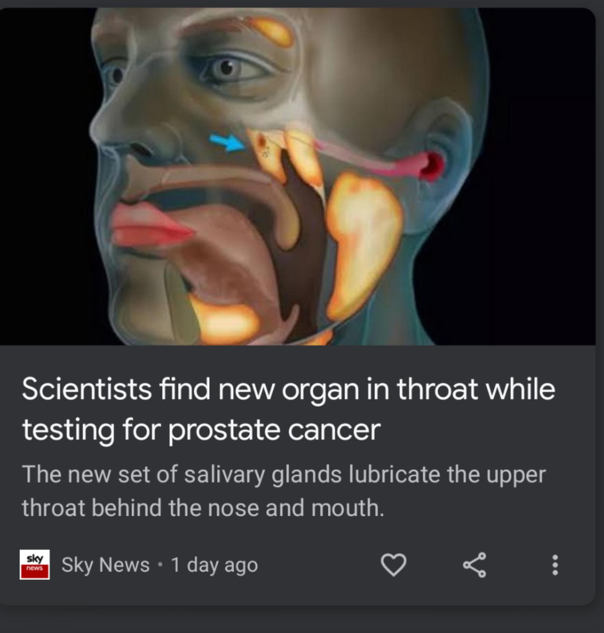 Oof. How far up did they go?!