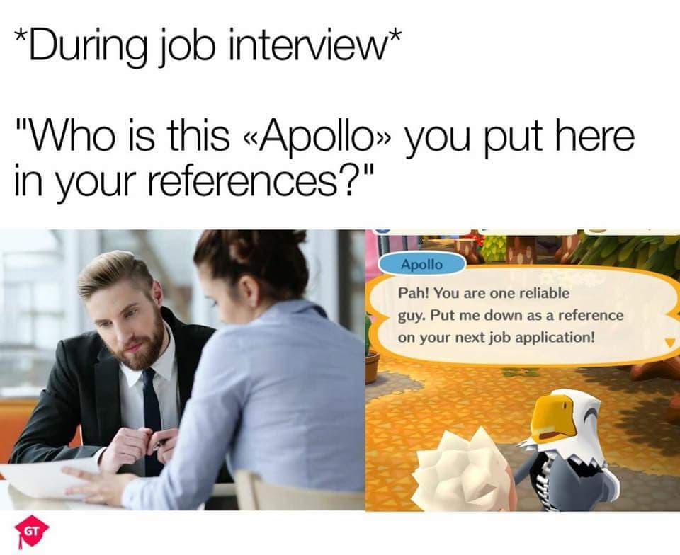 Job interview apollo