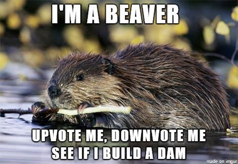 Do you realize that every second, 70 centimeters of water is wasted over my spillway?!?