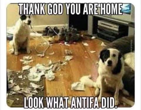 Mostly topical chuckles