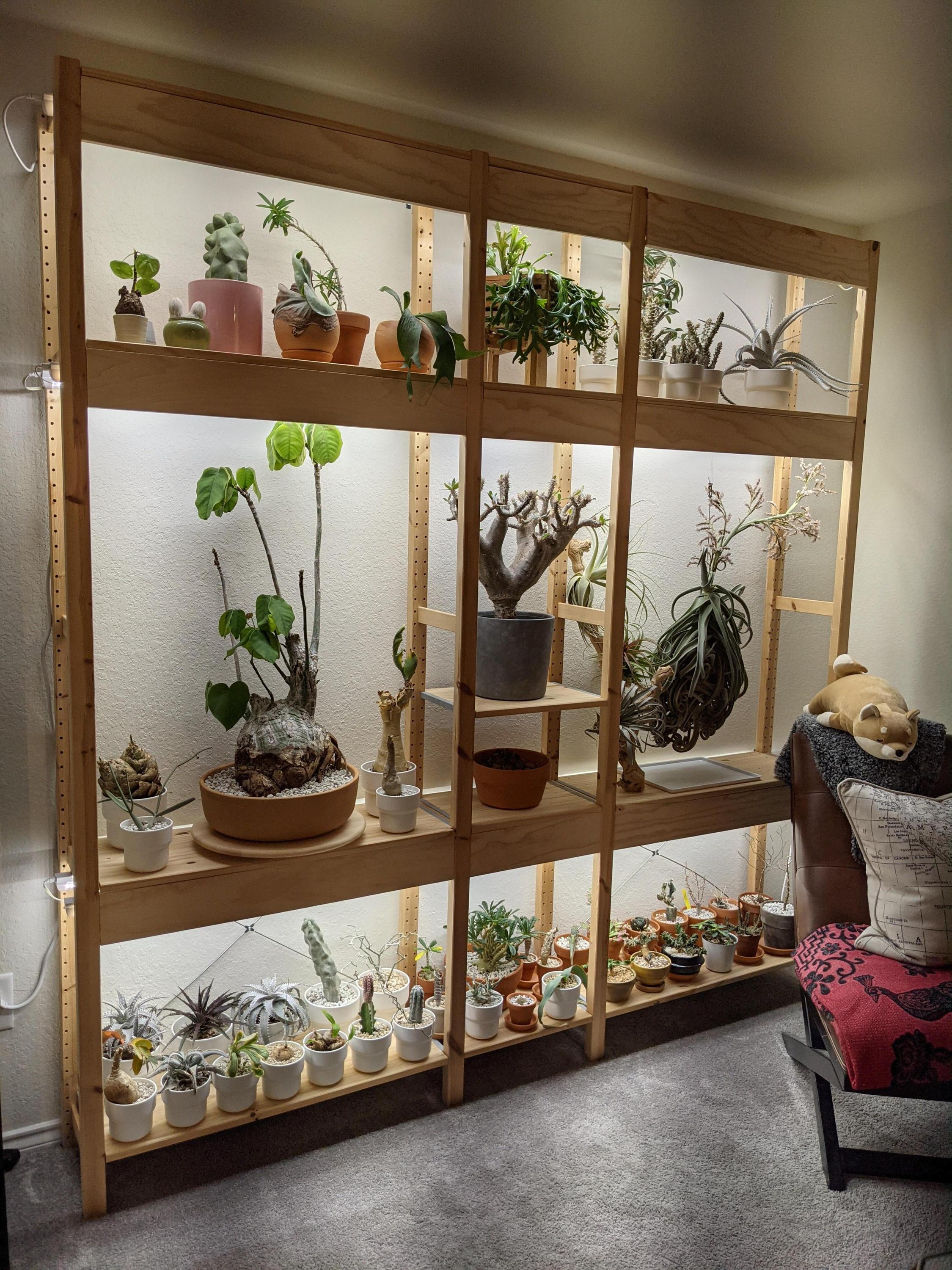 Customized Plant Shelf