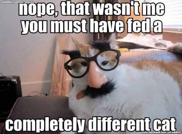 Legit Phone Clearing Dump Part 1