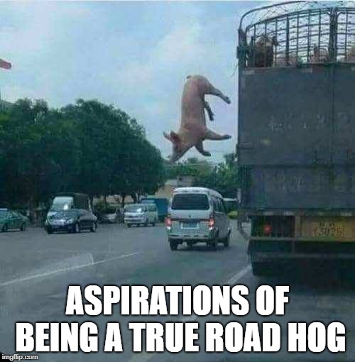 Road Hog