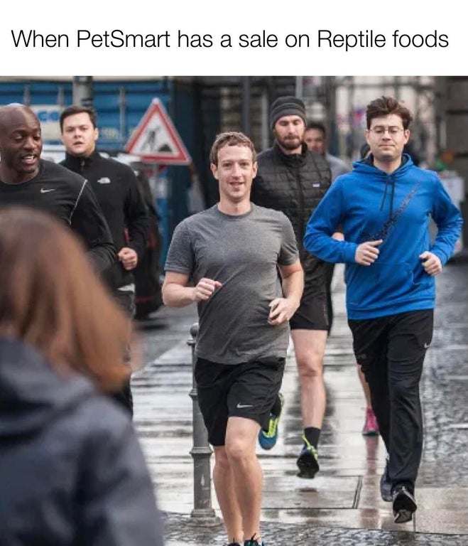 mark zuckerberg facebook reptile robot