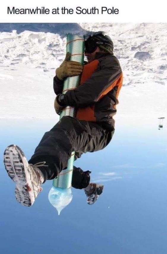 Hang in there kitty.