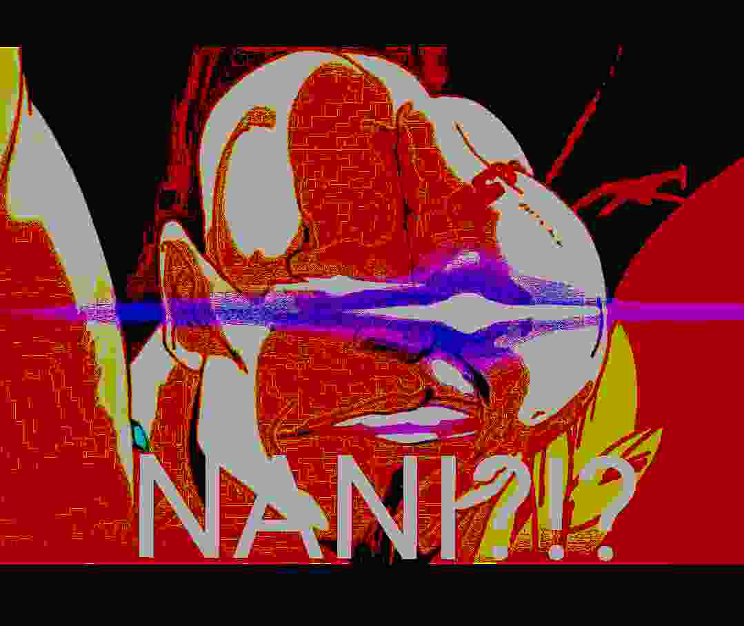 Fried Nani