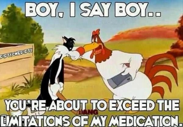 Quick dump of Foghorn Leghorn memes
