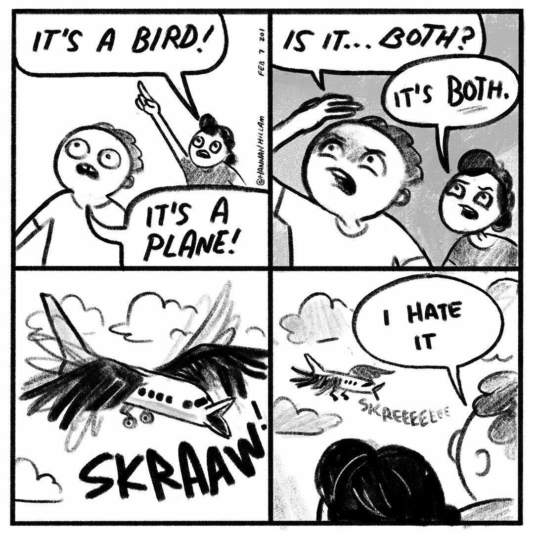 skraaaaw