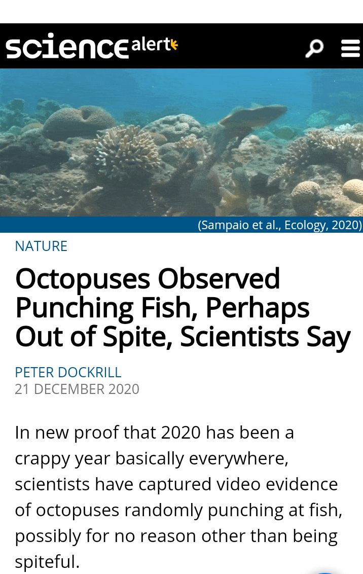 Animals are assholes