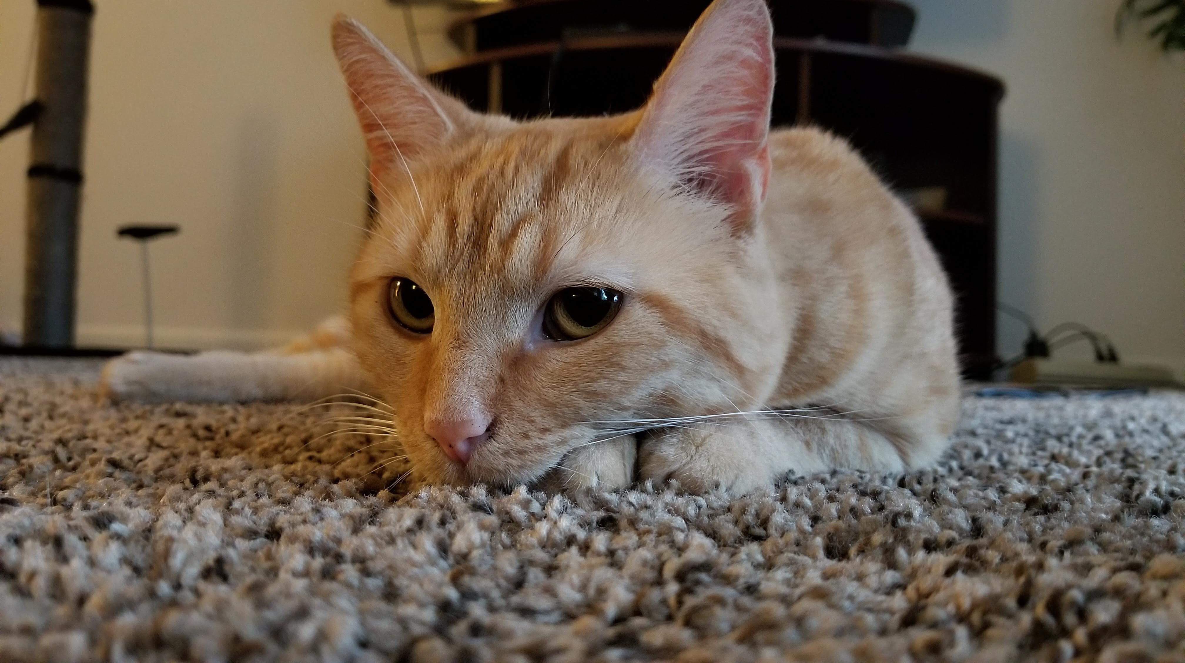 My beautiful little princess 