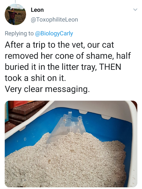 Tell me how you really feel.