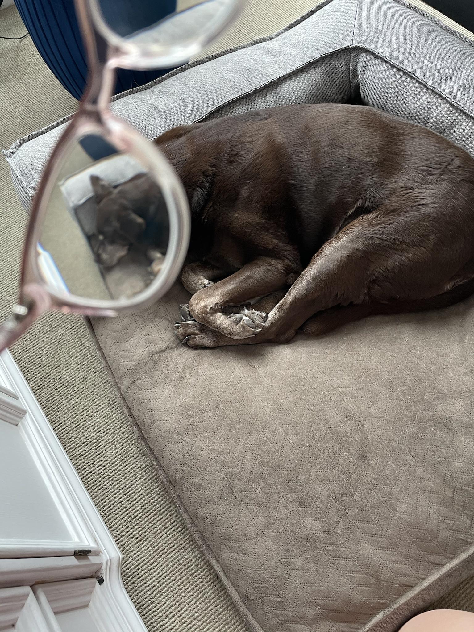 The never requested part 2