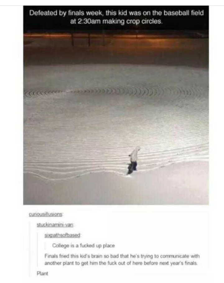 A mini dump to celebrate. My last final was today!!