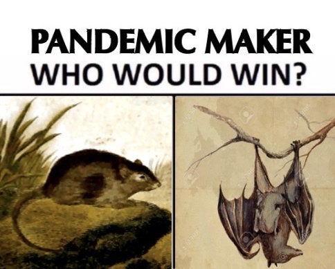 Pandemic Maker