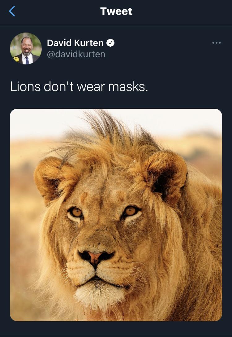 Politicians shouldn&rsquo;t use social media