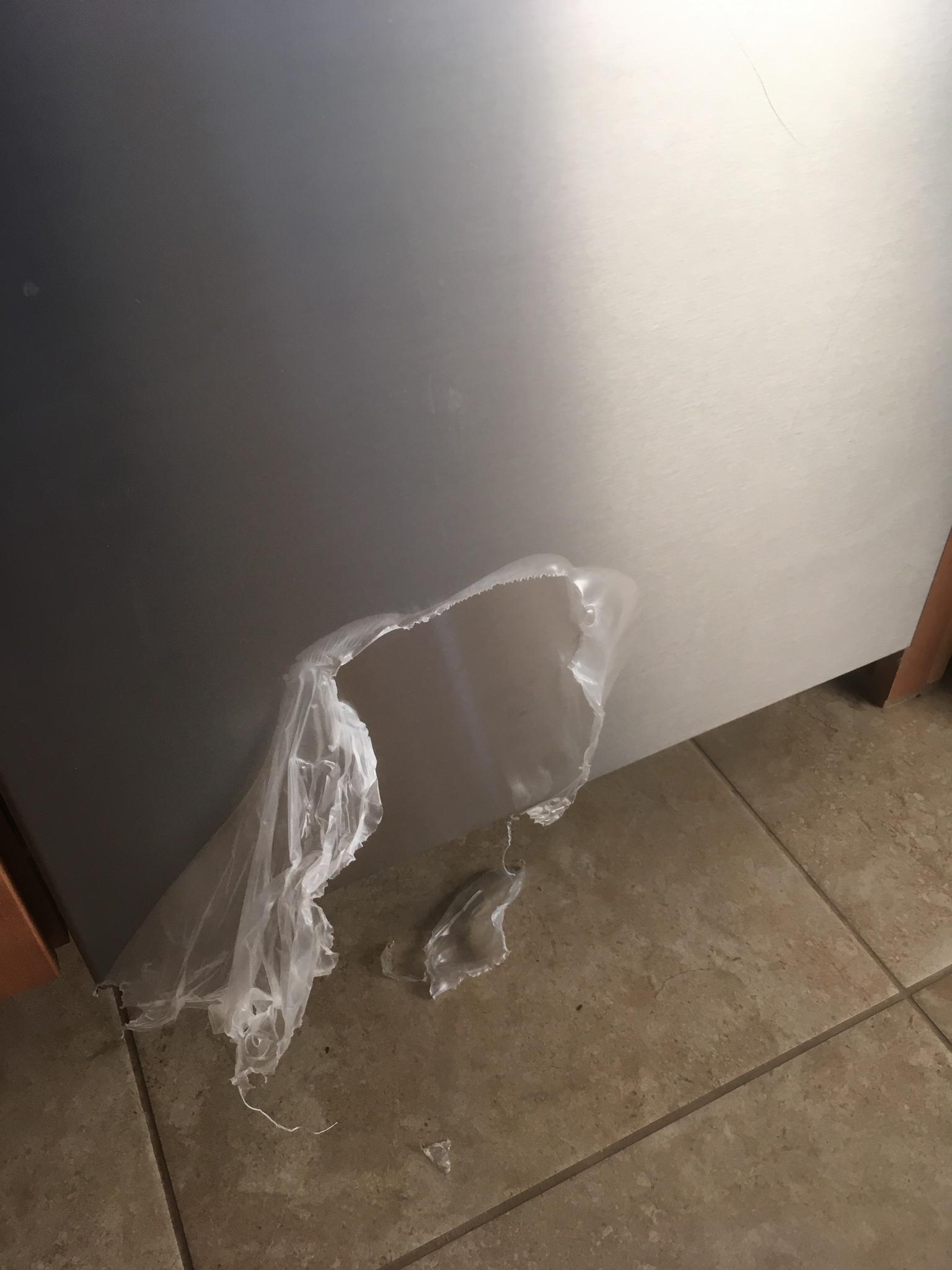 If you need a little laugh today