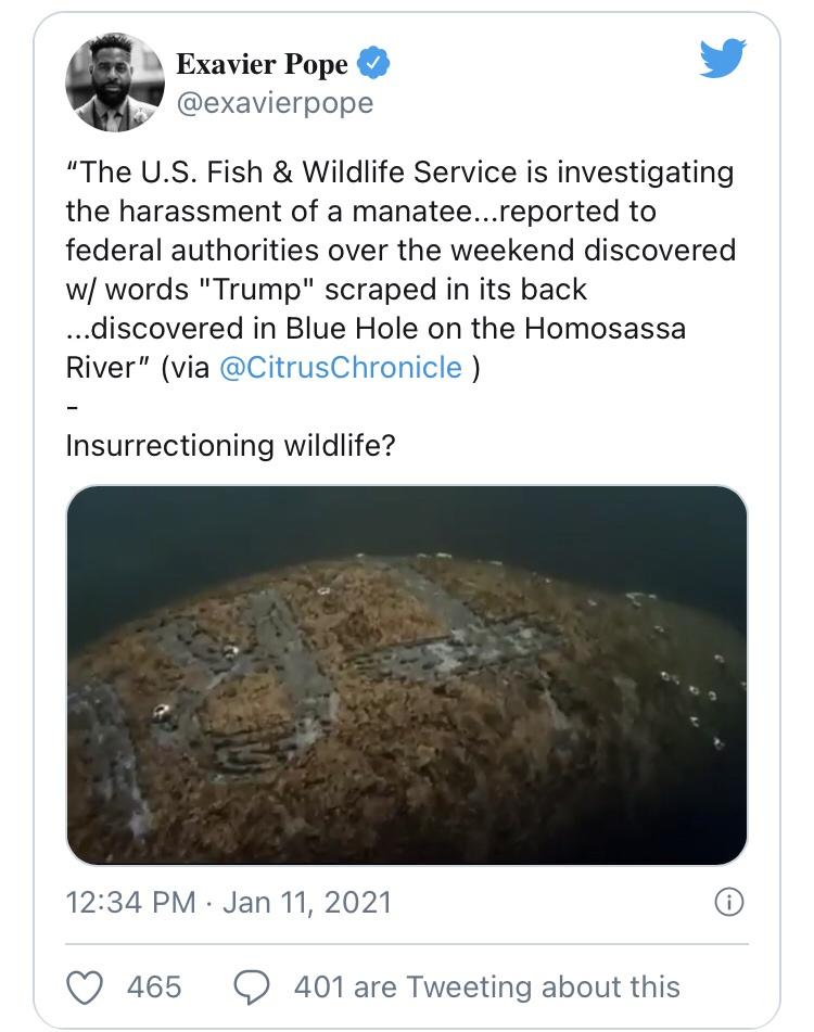 Can you imagine being so obsessed with a political figure that you carve that person&rsquo;s name into the back of a innocent manatee?