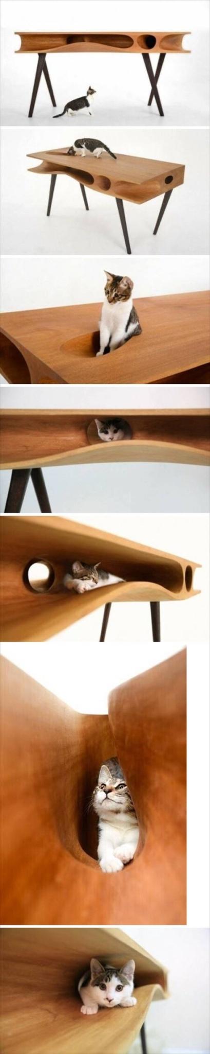 Luxury cat table....