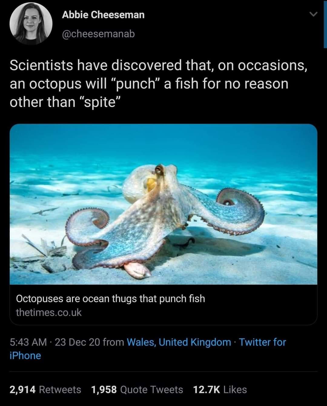 Best watch out fishes