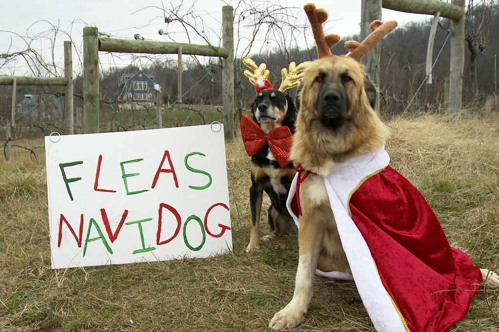 And so it is Christmas...