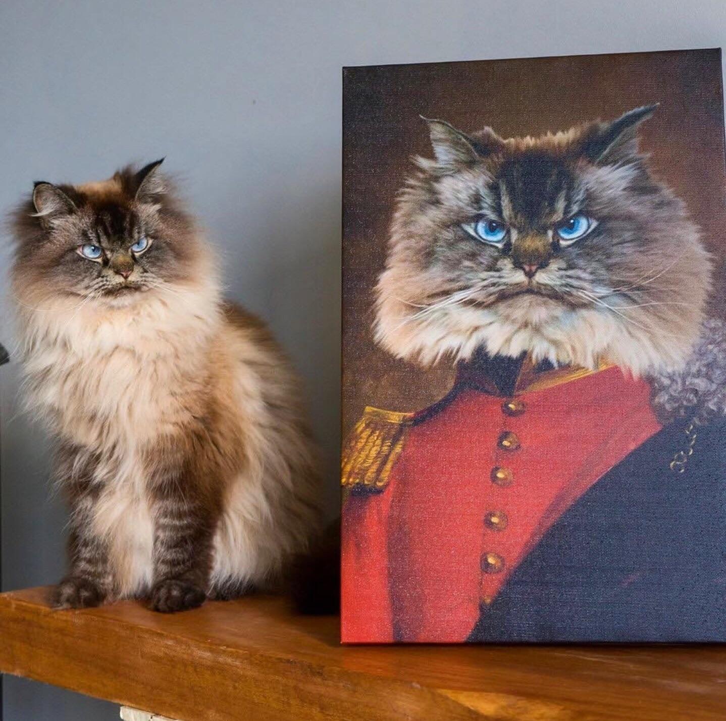 Ready for world domination