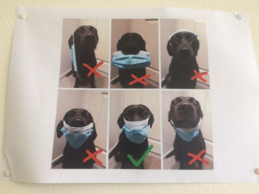 This poster in my school