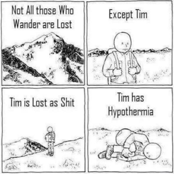 All those who wander