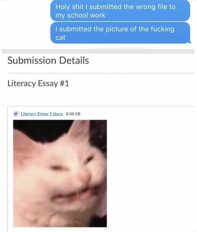 Final Paper Submission