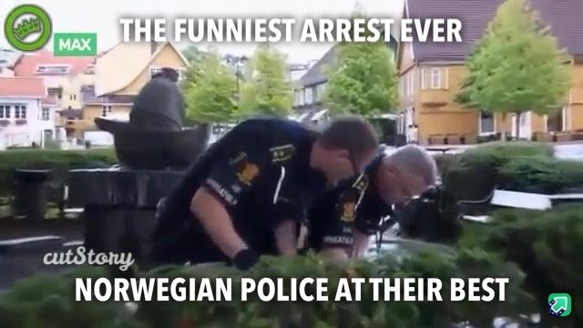 Norwegian police arrest ogre