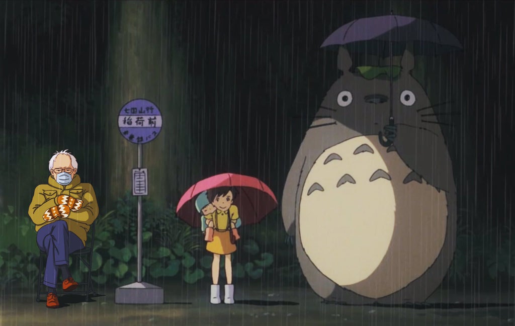 cute bernie totoro