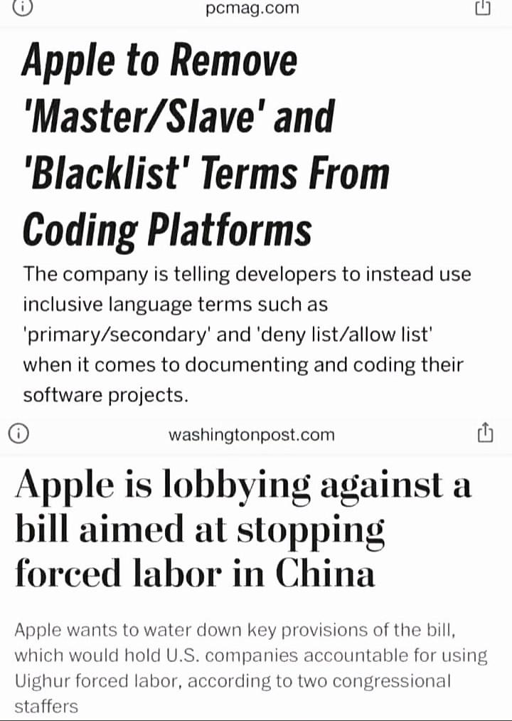 What a lovely company