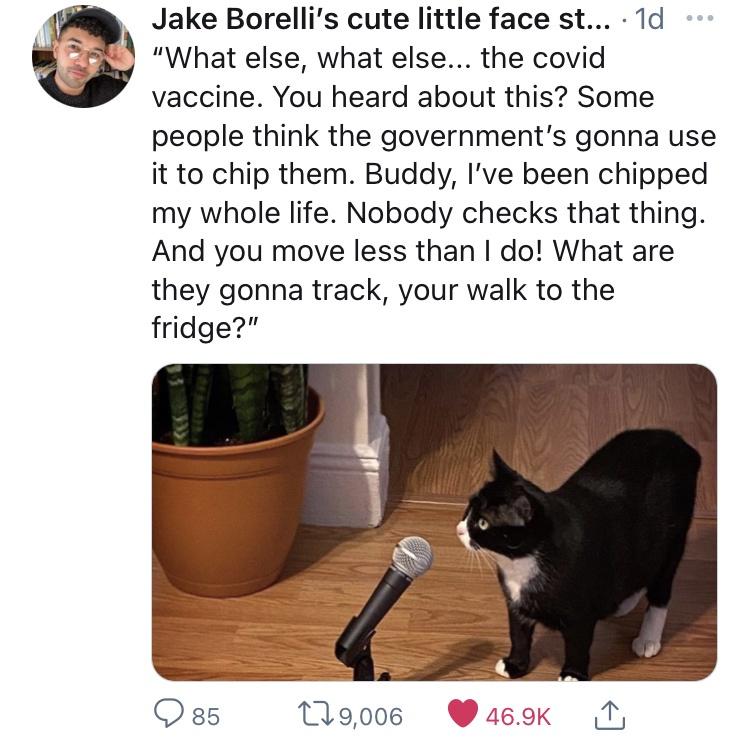 That&rsquo;s gold, Jerry, gold!